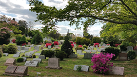 Monmouth County Cemetery
